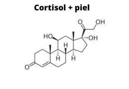 Cortisol + Piel